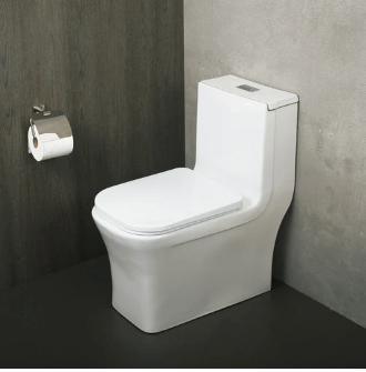 One Piece Square Toilet with Soft Closing Seat and Dual Flush High-Efficiency, Porcelain, White Finish, Height 28-3/4 Inches (BSN-835)
