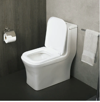 One Piece Square Toilet with Soft Closing Seat and Dual Flush High-Efficiency, Porcelain, White Finish, Height 28-3/4 Inches (BSN-835)