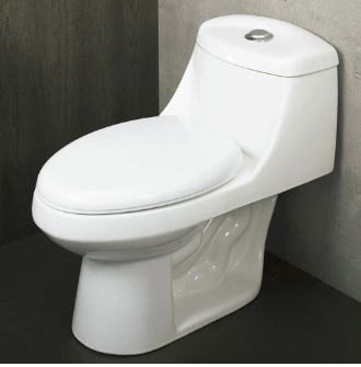 One Piece Oval Toilet with Soft Closing Seat and Dual Flush High-Efficiency, Porcelain, White Finish, Height 25-1/2 Inches (BSN-11)
