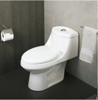 One Piece Oval Toilet with Soft Closing Seat and Dual Flush High-Efficiency, Porcelain, White Finish, Height 25-1/2 Inches (BSN-11)