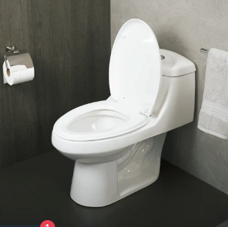 One Piece Oval Toilet with Soft Closing Seat and Dual Flush High-Efficiency, Porcelain, White Finish, Height 25-1/2 Inches (BSN-11)