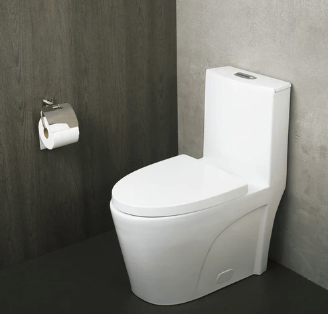 One Piece Oval Toilet with Soft Closing Seat and Dual Flush High-Efficiency, Porcelain, White Finish, Height 31