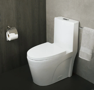 One Piece Oval Toilet with Soft Closing Seat and Dual Flush High-Efficiency, Porcelain, White Finish, Height 31